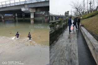 區(qū)畜牧局重拳出擊 多措并舉開展?jié)O業(yè)“打非”專項(xiàng)行動(dòng)，規(guī)范畜牧漁業(yè)飼料銷售市場